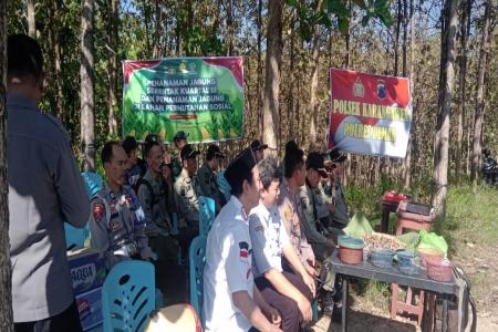 Perhutani Turut Andil Wujudkan Program Ketahanan Pangan Melalui Upaya 