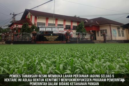 PEMDES TAMANSARI DORONG KETAHANAN 