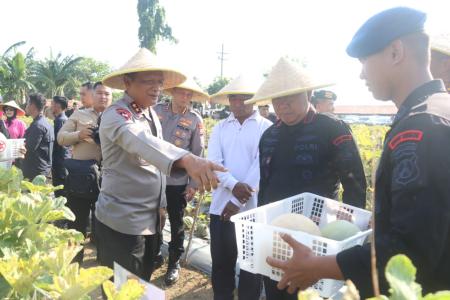 BRIMOB POLDA JATIM PANEN MELON DAN