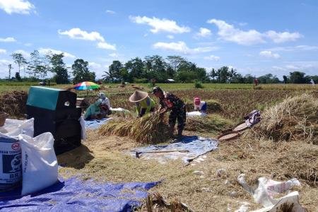 Dukung Swasembada Pangan Nasional Babinsa Desa Slumbung Dampingi Petan