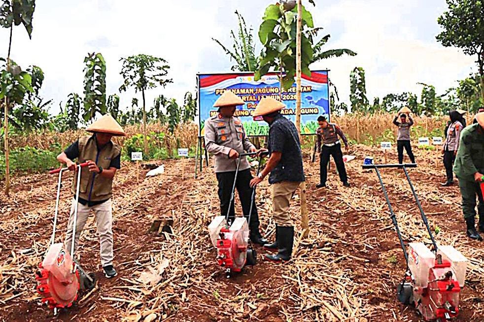 Polres Kendal Tanam Jagung Serentak di Kedungsuren, Dukung Program Ketahanan Pangan Nasional
