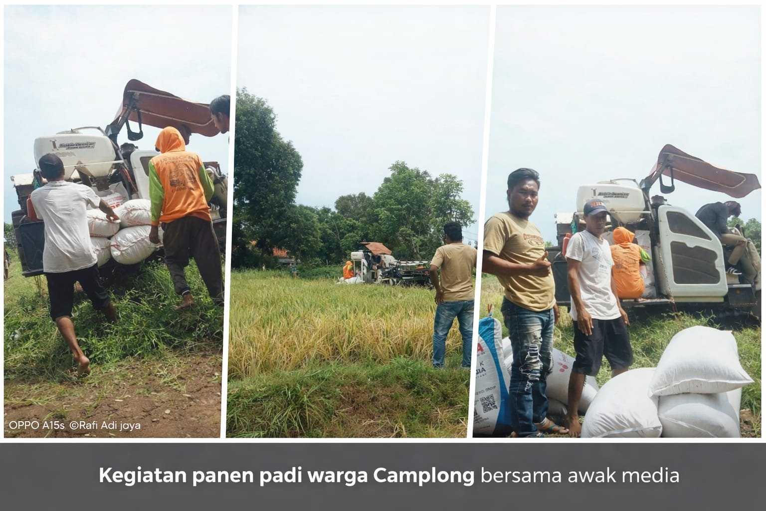 Dua Awak Media Turun ke Sawah, Wujud Kepedulian Bantu Panen Padi Warga