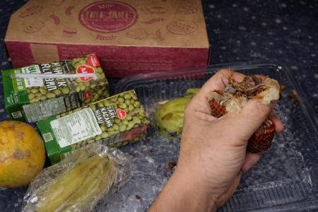 MBG Taddan Diduga Nyaris Racun