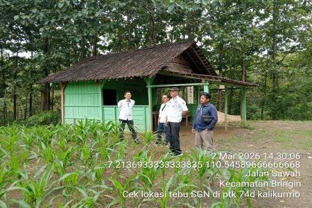 Perhutani KPH Semarang dan PT 