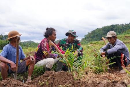 Disela Kesibukan Satgas TMMD KE127 Kod