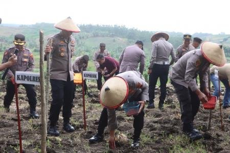 Kapolres Demak  Penanaman Jagung Dorong Produktivitas dan Kesejahteraa