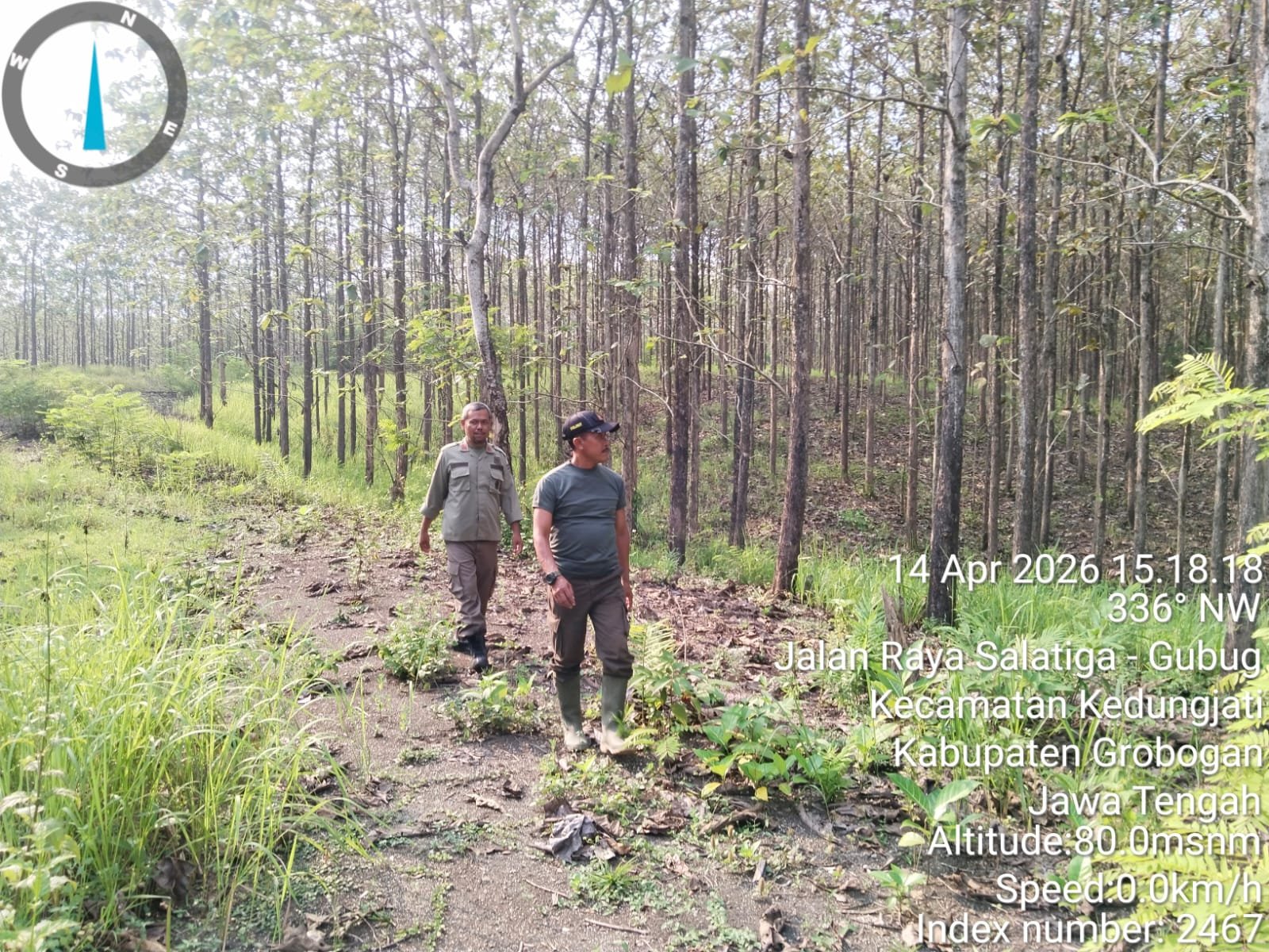 Patroli Bersama Perhutani BKPH Kedungjati dan POLMOB KPH Semarang di Petak 4 A dan 24 B2 RPH Kalimar