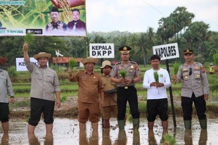 Hadir Langsung Di Sawah Kapolres Sumenep Dukung Percepatan Tanam Padi 