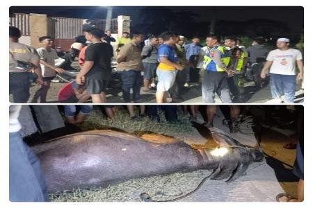 Satreskrim Polres Kudus Ungkap Kasus C
