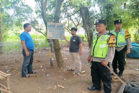 Berawal dari Laporan 110 Polisi Gerebek Dugaan Sabung Ayam di Bae Kudu
