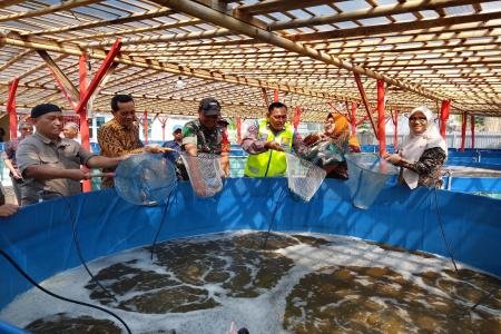 Panen Raya Ikan Nila BUMDes Sida Mukti Penaruban Perkuat Ketahanan Pan