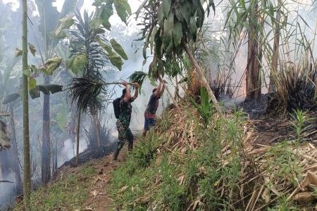 Sinergi TNIPolri dan Masyaraka