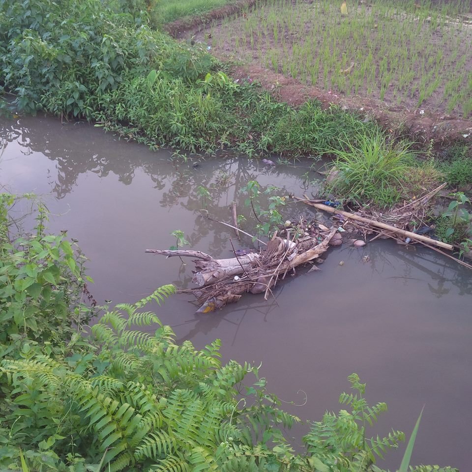 Jaga sungai mu, maka subur sawah mu