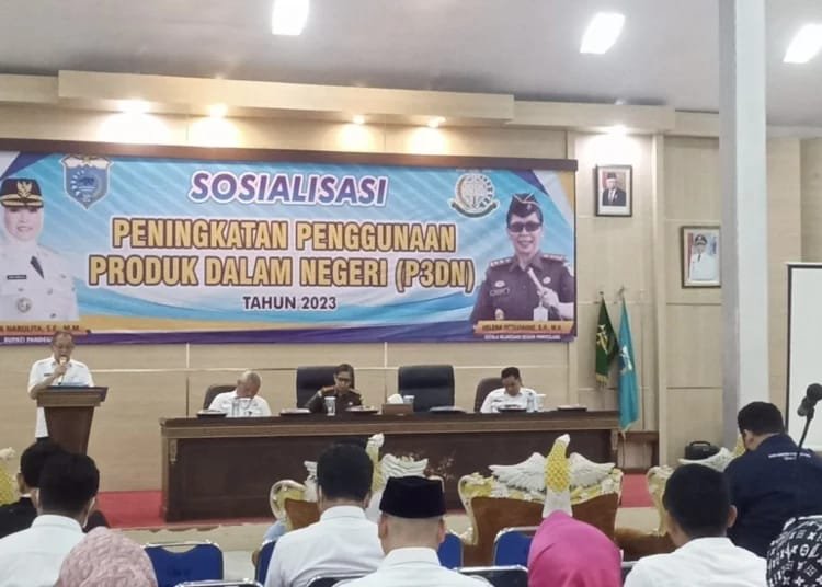 Kepala Kejaksaan Negeri Pandeglang, Helena Octavianne Gelar Sosialisasi "P3DN" di Aula Pendopo