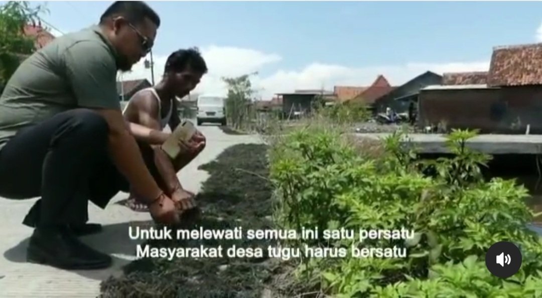 DESA TUGU SAYUNG DEMAK POTENSI RUMPUT LAUT DI TANAH ABRASI PASKA PANDEMI 