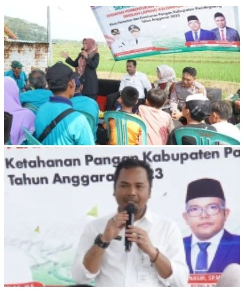 DPKP Pandeglang Adakan Kegiatan Pembentukan Dan Penyelenggaraan Sekolah Lapang Kelompok Tani