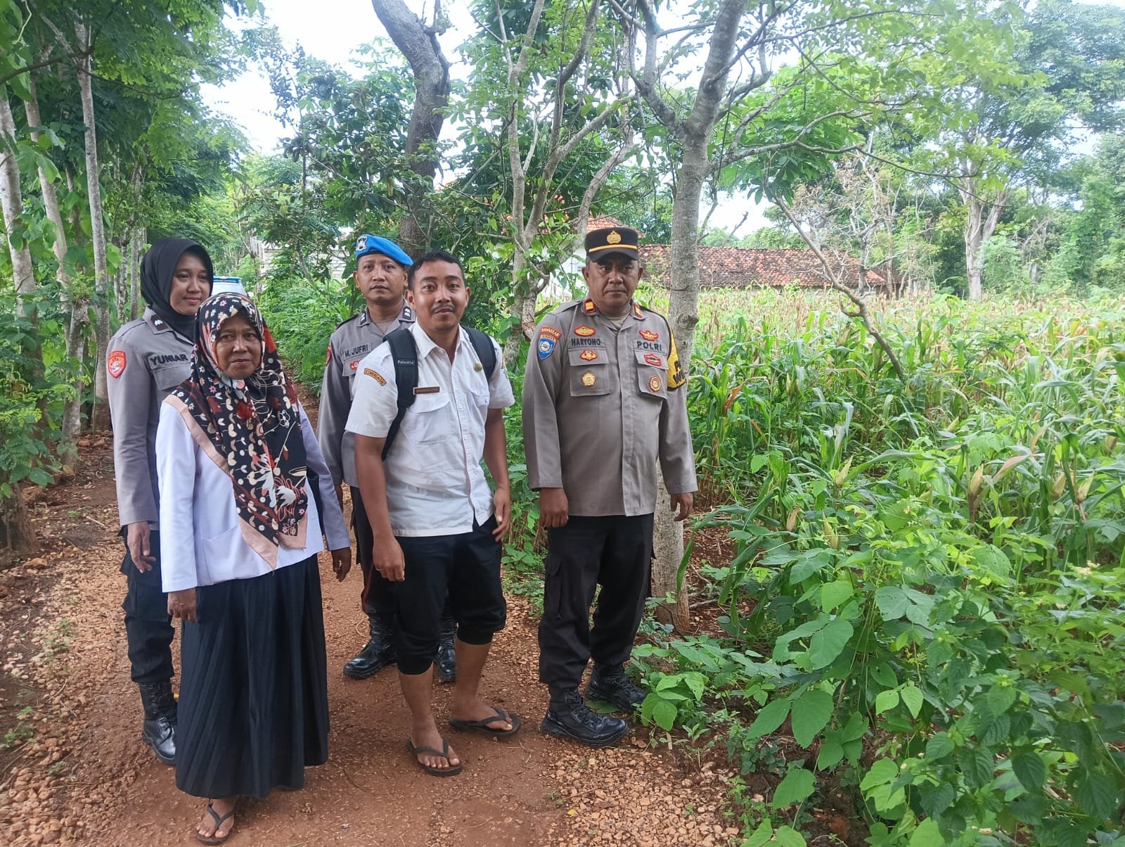 Kapolsek Talango Sumenep Bersama Korluh Gelar Sosialisasi Perawatan Tanaman Jagung di Dusun Jate Lao
