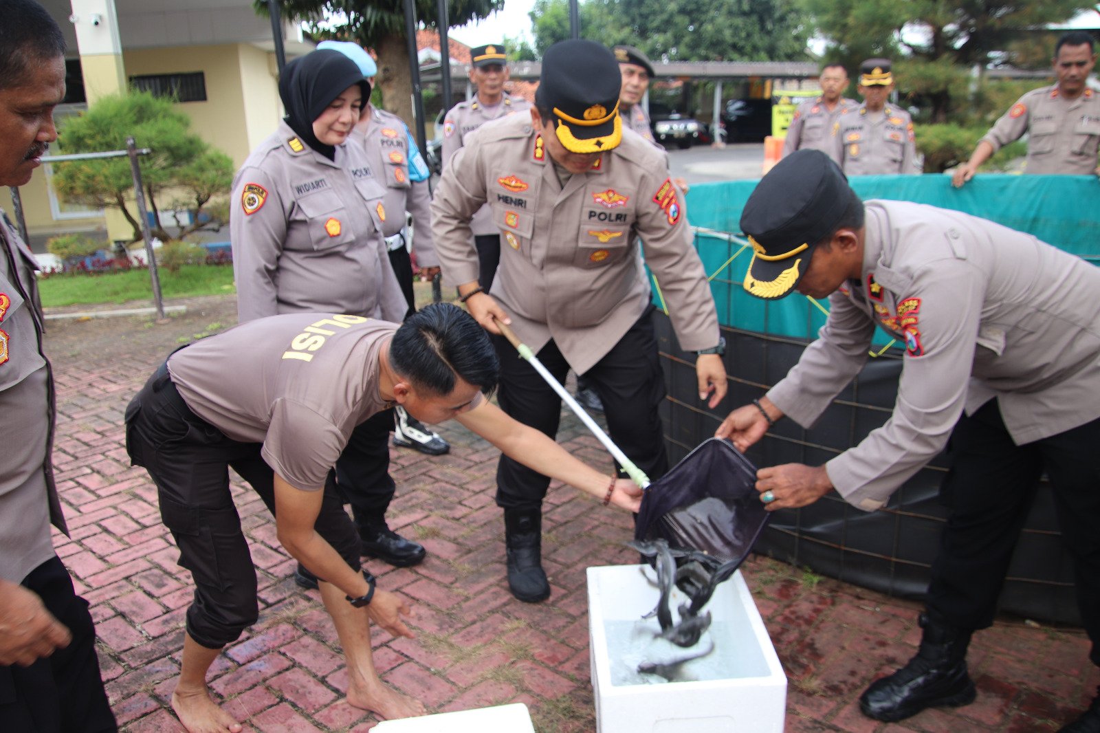 Wujud Nyata Dukungan Ketahanan Pangan dan Inspirasi bagi Masyarakat,  Polres Sumenep Panen Ikan Lele