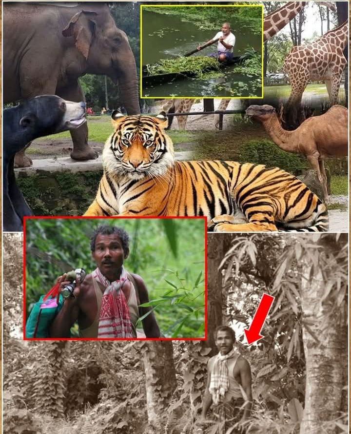 Dari Tangan Pria India, Tercipta Hutan yang Jadi Surga bagi Satwa Liar