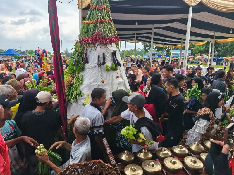 Sedekah bumi desa Cipaku ditandai dengan grebeg gunungan dan pagelaran wayang disambut antusias warga
