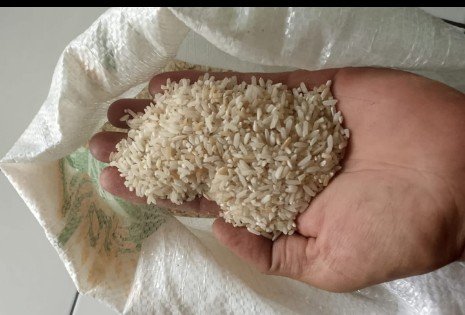 KPM Keluhkan Kualitas Beras Bantuan di Lebak Selatan: Banyak Bulir Kuning dan Bau Apek
