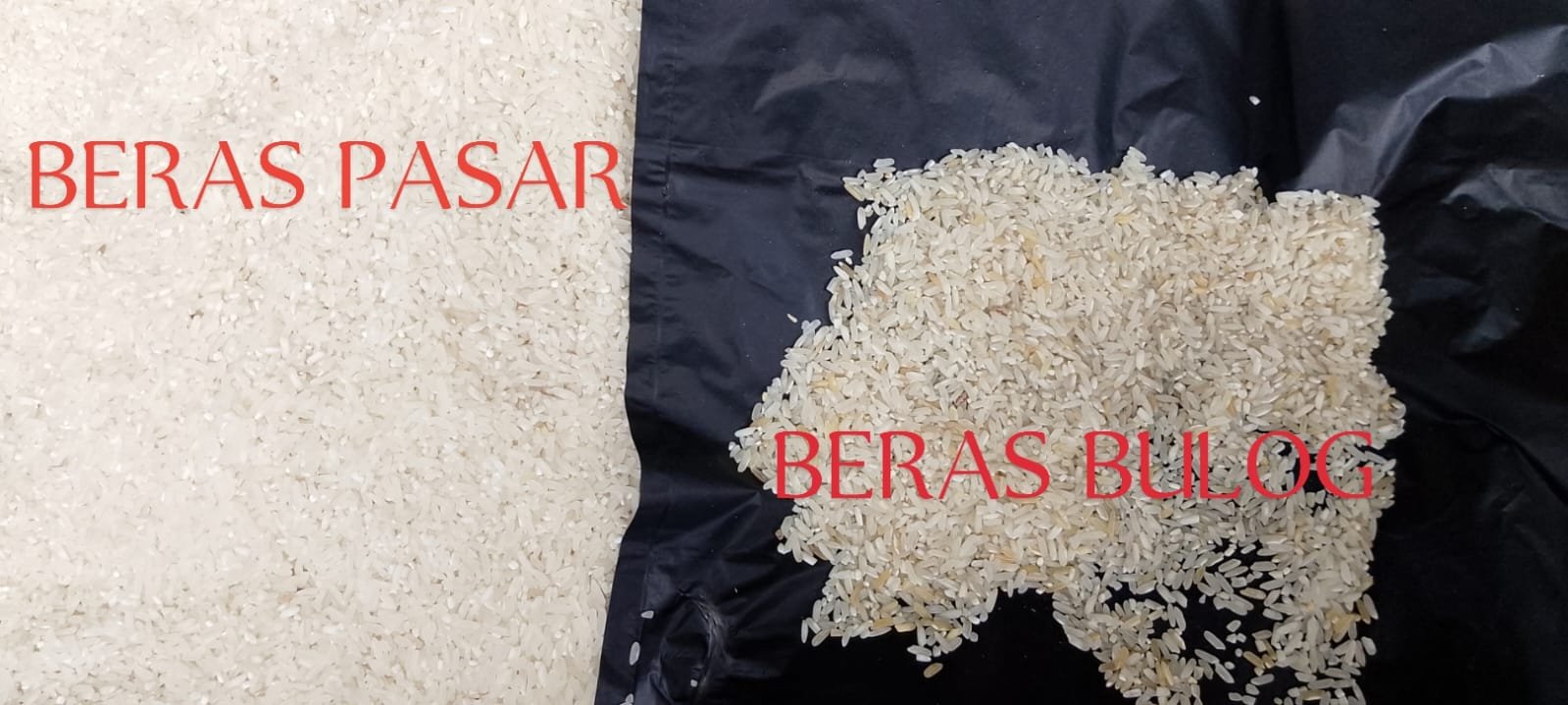 KPM Keluhkan Kualitas Beras Bantuan Bulog di Lebak Selatan, Harga dan Kondisi Fisik Jauh Berbeda