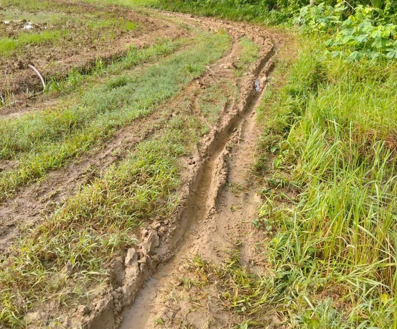Akses Jalan dusun gelugur timur desa Kalowang kecamatan Gayam kabupaten Sumenep Masih Berupa Tanah, 