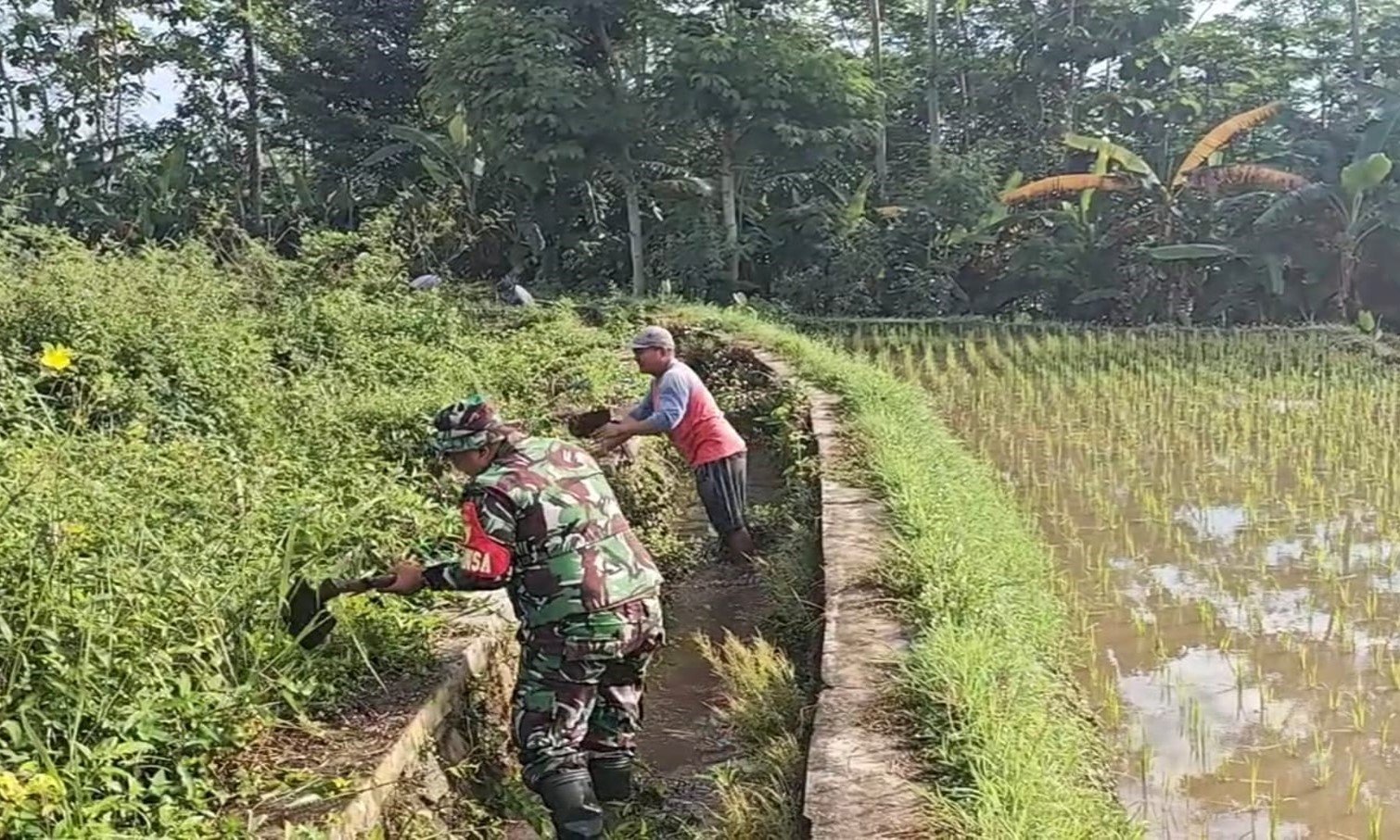 Bersihkan Saluran Irigasi Sawah, Sertu Yudha Gotong Royong Bersama Warga Desa Ngreco