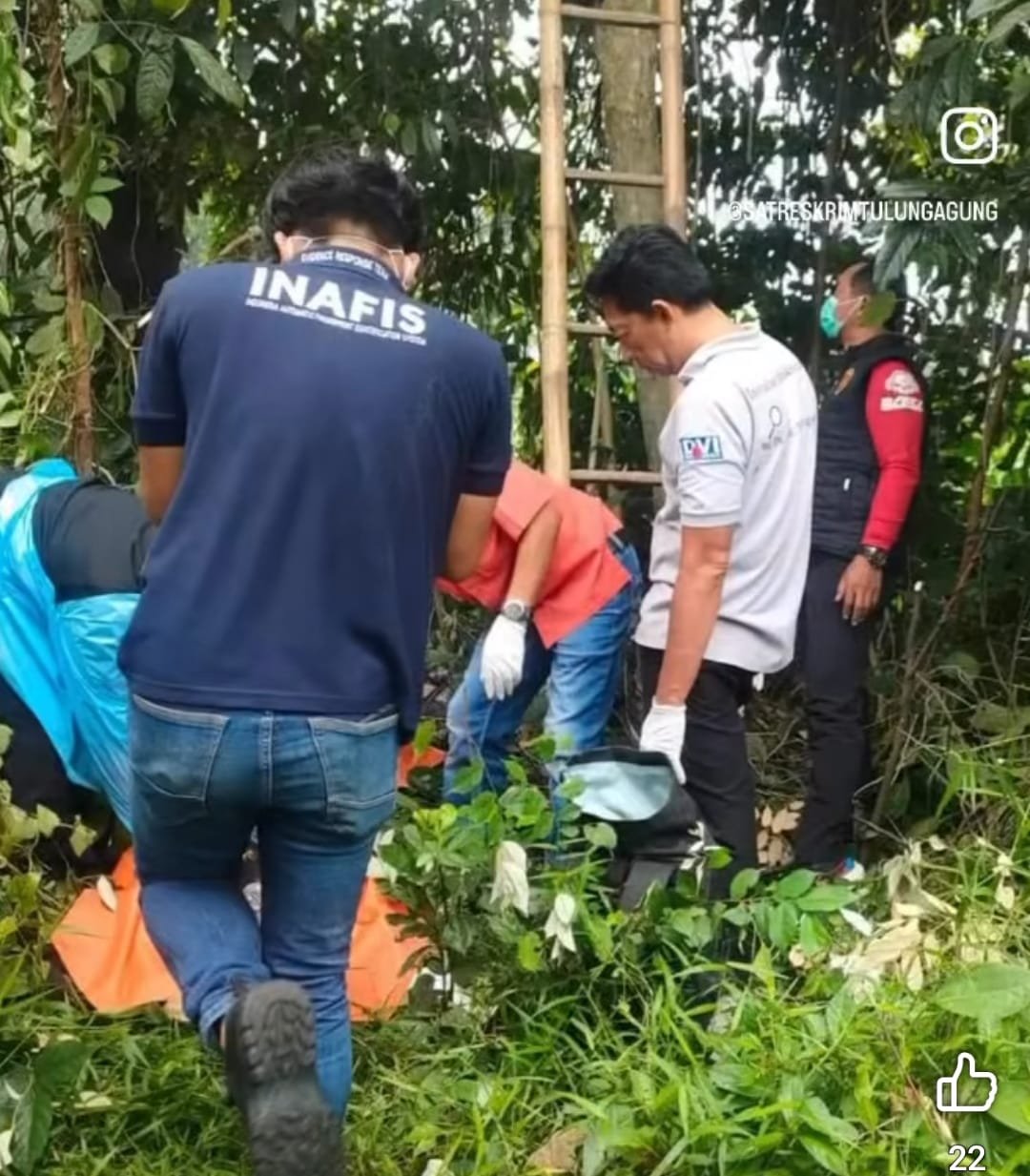 Temuan Mayat Pria Membusuk di Perkebunan Gendingan Tulungagung