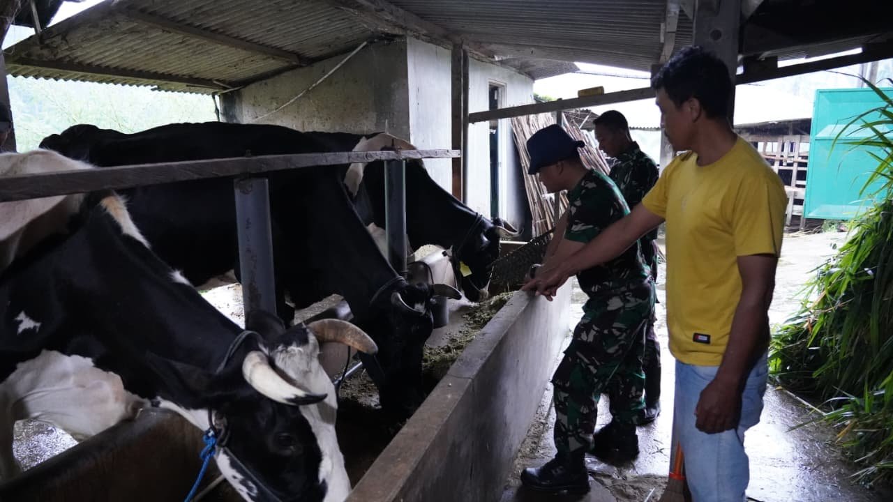 wTMMD Ke 127 Tak Hanya Bangun Rumah, Jembatan Dan Jalan, Prajurit TNI Turut Juga Bantu Warga Perah S