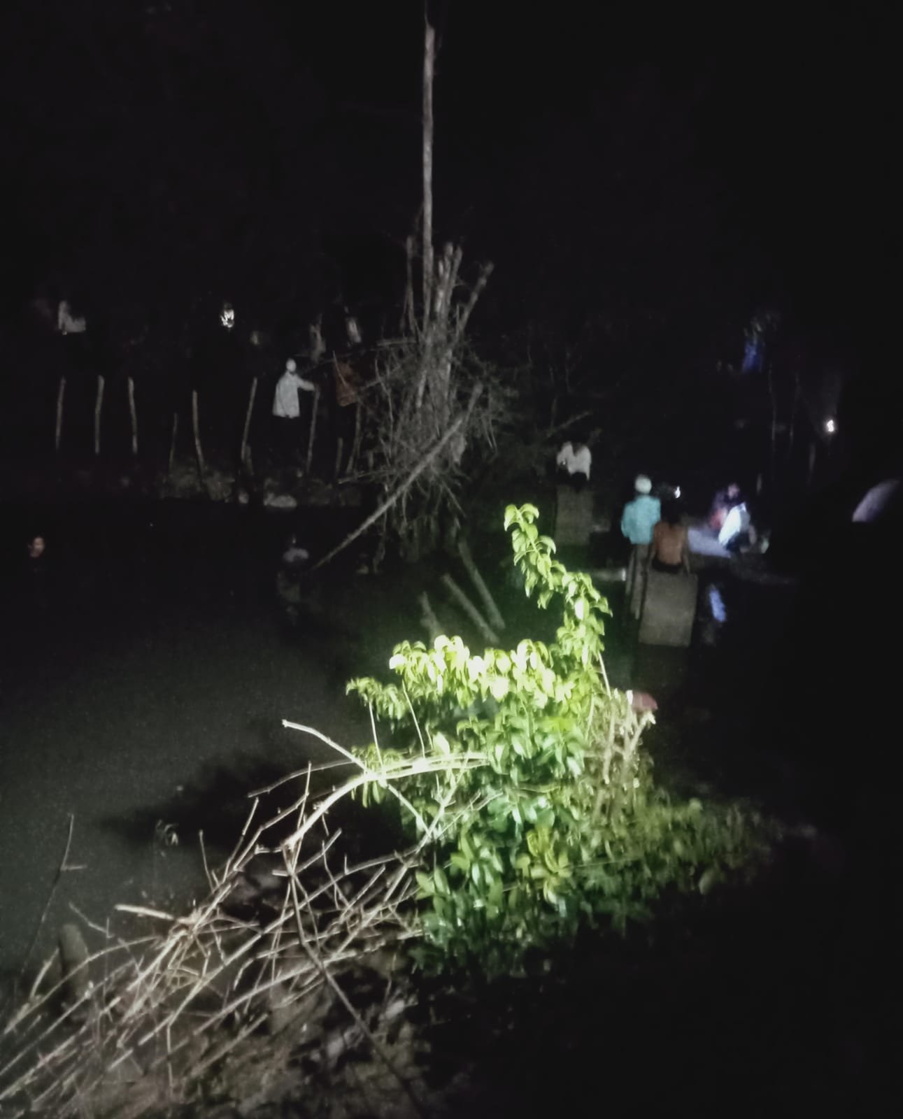Tiga Bocah Diduga Tenggelam di Tambak Gejem, Dua Kritis dan Satu Masih Dalam Pencarian
