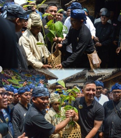 Bupati Lebak Dukung Gerakan Baduy Lestari, Tanam 70.000 Bibit Tanaman dalam Rangka Milad PUB